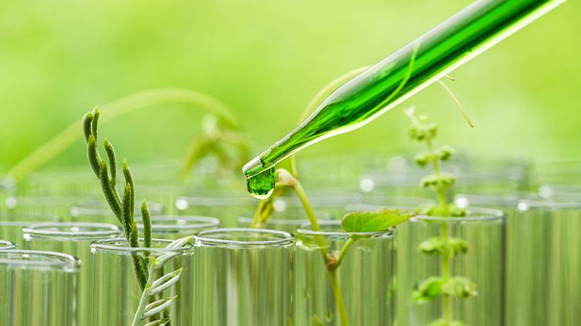 Green Chemistry toolkit